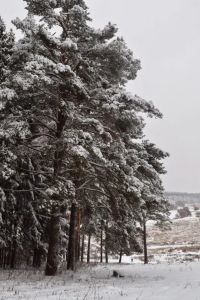 DSC_0464.jpg